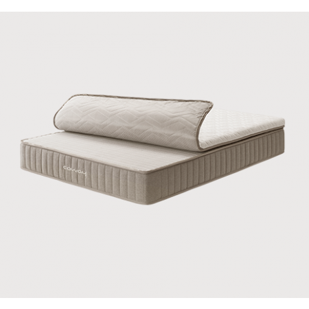 CM[K,Q,SS]-PR04_V2[M,H]